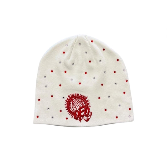 Wisdom Beanie